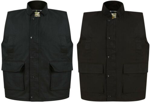 Waxberry Countryman Wax Bodywarmer Gilets
