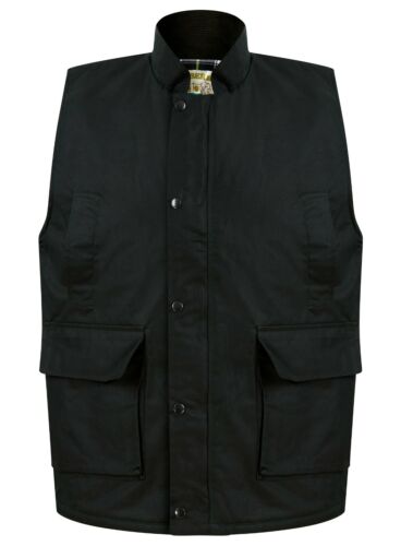 Waxberry Countryman Wax Bodywarmer Gilets