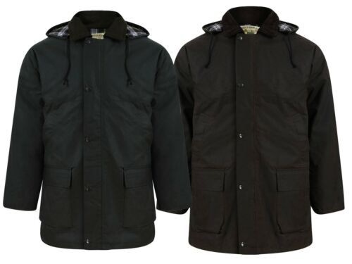 Countryman Waxberry Cotton Wax Padded Jackets